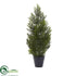 Silk Plants Direct Mini Cedar Pine Tree - Pack of 1