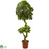 Silk Plants Direct Schefflera Artificial - Pack of 1