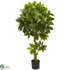 Silk Plants Direct Schefflera Artificial - Pack of 1