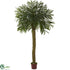 Silk Plants Direct Prikly Palm Artificial - Pack of 1