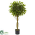 Silk Plants Direct Ficus Artificial Topiary - Pack of 1