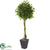 Silk Plants Direct Ficus Artificial Tree - Pack of 1