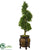 Silk Plants Direct Boxwood Spiral Topiary Artificial Tree - Pack of 1