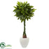 Silk Plants Direct Money Artificial Tree - Pack of 1