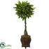 Silk Plants Direct Money Artificial Tree - Pack of 1