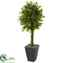Silk Plants Direct Braided Ficus Artificial Tree - Pack of 1