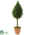 Silk Plants Direct Boxwood Cone Artificial Tree - Pack of 1