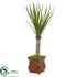 Silk Plants Direct Yucca Artificial Tree - Pack of 1