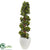 Silk Plants Direct English Ivy Topiary Tree - Pack of 1