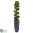 Silk Plants Direct English Ivy Spiral Topiary Tree - Pack of 1