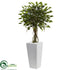 Silk Plants Direct Ficus Tree - Pack of 1