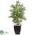 Silk Plants Direct Areca Palm Tree - Pack of 1