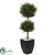 Silk Plants Direct Cypress Topiary - Pack of 1