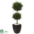 Silk Plants Direct Cypress Topiary - Pack of 1