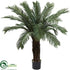 Silk Plants Direct Cycas - Pack of 1