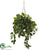 Silk Plants Direct Pothos Hanging Basket - Pack of 1