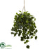 Silk Plants Direct Philodendron Hanging Basket - Pack of 1
