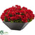 Silk Plants Direct Geranium - Red - Pack of 1