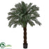 Silk Plants Direct Cycas Artificial - Pack of 1