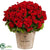 Silk Plants Direct Geranium - Red - Pack of 1