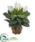 Silk Plants Direct Spathifyllum Artificial Plant - Pack of 1