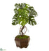 Silk Plants Direct Monstera Artificial Plant - Pack of 1
