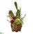 Silk Plants Direct Mixed Cactus Artificial Plant - Pack of 1