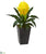 Silk Plants Direct Ginger Artificial Plant - Yellow - Pack of 1