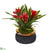 Silk Plants Direct Bromeliad Artificial Plant - Red - Pack of 1