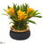 Silk Plants Direct Bromeliad Artificial Plant - Purple - Pack of 1