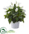 Silk Plants Direct Mixed Spathiphyllum Artificial Plant - Pack of 1