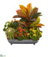 Silk Plants Direct Croton, Kalanchoe and Cactus Artificial Plant - Pack of 1