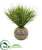 Silk Plants Direct Vanilla Grass Artificial Plant - Pack of 1