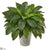 Silk Plants Direct Birds Nest Fern Artificial Plant - Pack of 1