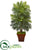 Silk Plants Direct Areca Palm Artificial Plant - Pack of 1