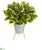 Silk Plants Direct Rubber Leaf Artificial Plant in Green Planter with Stand - Pack of 1