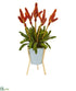 Silk Plants Direct Tropical Bromeliad Artificial Plant - Pack of 1