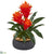 Silk Plants Direct Triple Bromeliad Artificial Plant - Pack of 1