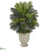 Silk Plants Direct Areca Palm Artificial Plant - Pack of 1