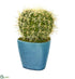 Silk Plants Direct Cactus Succulent Artificial Plant - Pack of 1