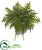 Silk Plants Direct Hares Foot Fern Artificial Plant in Green Planter with Stand - Pack of 1