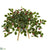 Silk Plants Direct Variegated Holly Berry Artificial Plant in Green Planter with Stand - Pack of 1
