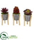 Silk Plants Direct Mixed Succulent Artificial Plant in Tin Planter with Legs - Pack of 3