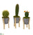 Silk Plants Direct Mixed Cactus Artificial Plant in Tin Planter with Legs - Pack of 3