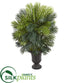 Silk Plants Direct Areca Palm Artificial Plant - Pack of 1