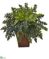 Silk Plants Direct Holly Fern Artificial Plant - Pack of 1