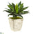 Silk Plants Direct Large Agave Artificial Plant - Pack of 1