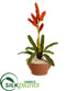 Silk Plants Direct Tropical Bromeliad Artificial Plant - Pack of 1