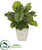 Silk Plants Direct Large Philodendron Artificial Plant in Country White Planter - Pack of 1