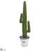 Silk Plants Direct Cactus Artificial Plant - Pack of 1